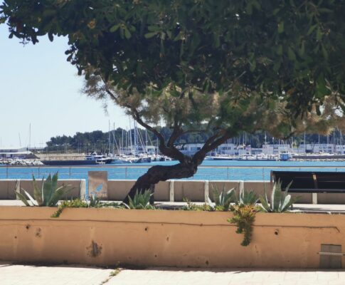 APARTAMENT PLANTA BAIXA AMB VISTA AL MAR I AMPLIA TERRASSA